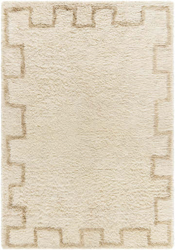 Close-up of the Ciniod Area Rug. Hand-tufted, 100% wool rug in pearl and tan with a geometric border pattern. Design-Rectangle-576