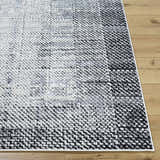 Close-up of the Colson Gray Area Rug showing its light silver, onyx, and silver gray textured pattern. Front