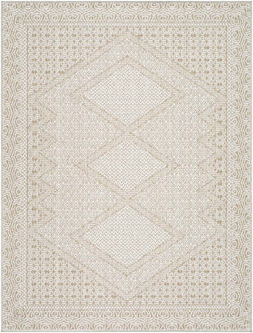 Close-up of the Chaman Area Rug, a machine-woven rug in tan and white with a traditional diamond pattern and decorative border. Design-Rectangle-537