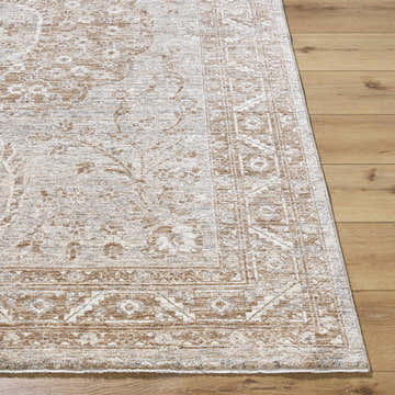 Close-up of the Cosimo Area Rug. Cream, tan, and gray traditional pattern on a machine-woven polyester rug. Front
