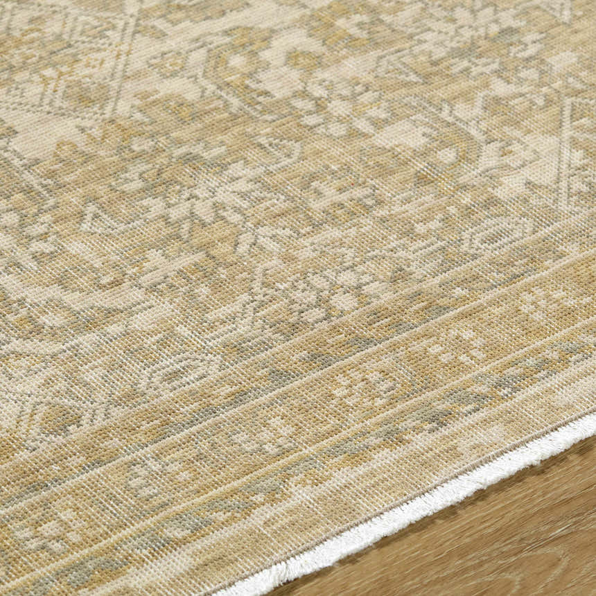 Close up of the Becki Taupe Owens x Livabliss Renaissance Area Rug. Beige, tan, and taupe traditional wool rug. Texture