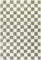 Close-up of the Castagnito Area Rug. Machine woven rug with a green and white checkerboard pattern. Contemporary style. Design-Rectangle-537