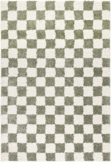 Close-up of the Castagnito Area Rug. Machine woven rug with a green and white checkerboard pattern. Contemporary style. Design-Rectangle-537