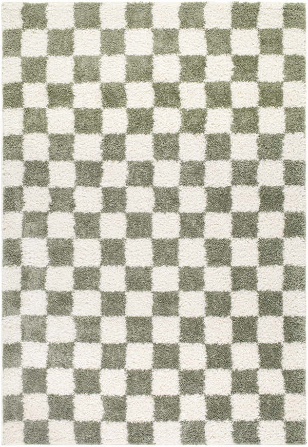 Close-up of the Castagnito Area Rug. Machine woven rug with a green and white checkerboard pattern. Contemporary style. Design-Rectangle-537