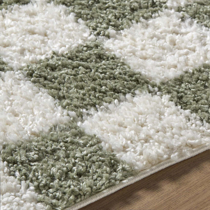 Close up of the Castagnito Area Rug showing a shag texture with a green and white geometric pattern. Texture
