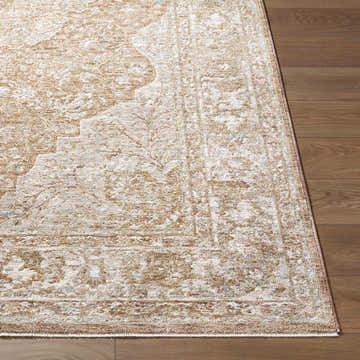 Close-up of the Charae Taupe Area Rug showing its traditional pattern and neutral beige, cream, and brown colors. Front
