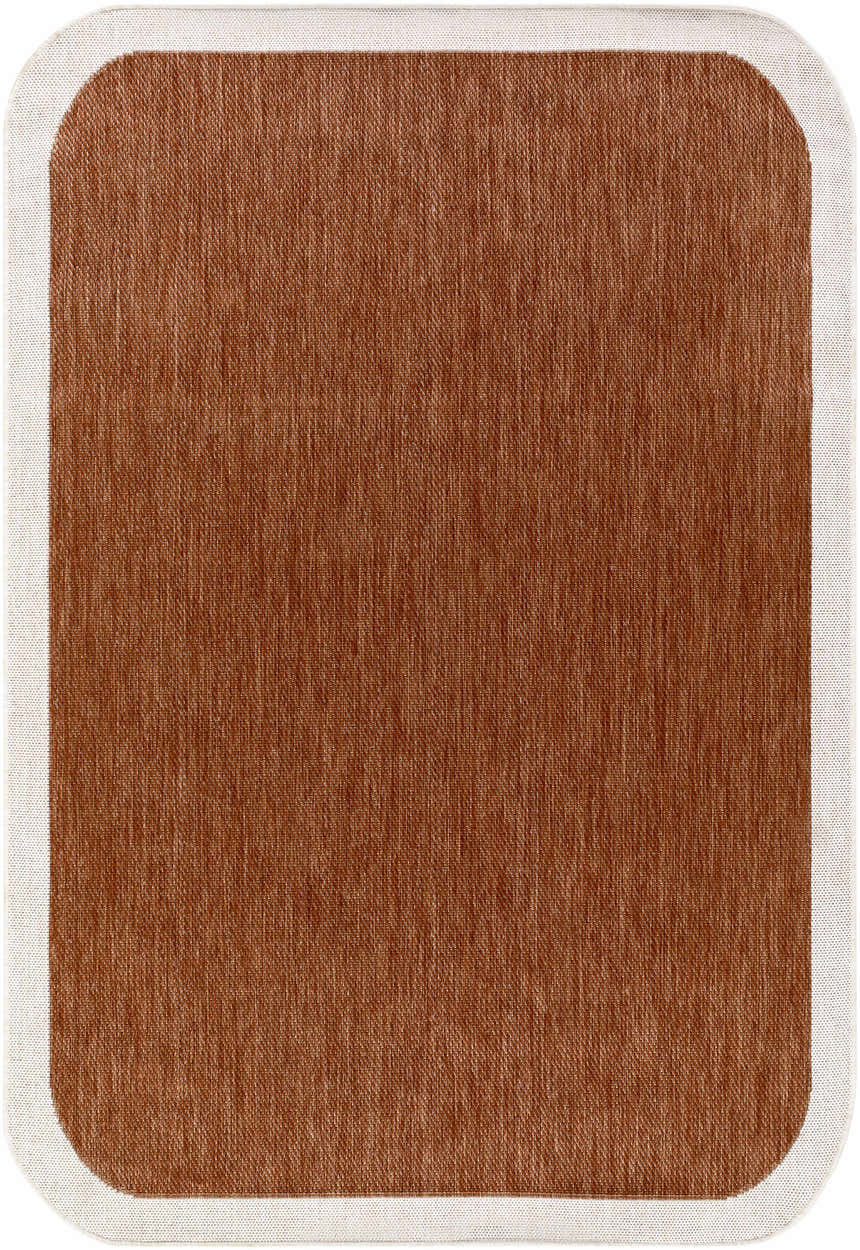 Close-up of the Chetan Brown Outdoor Rug. Shows the woven texture and cream border. Design-Rectangle-537
