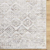 Close up of the Cadell Area Rug showing its beige, ivory, and taupe traditional pattern and soft texture. Swatch