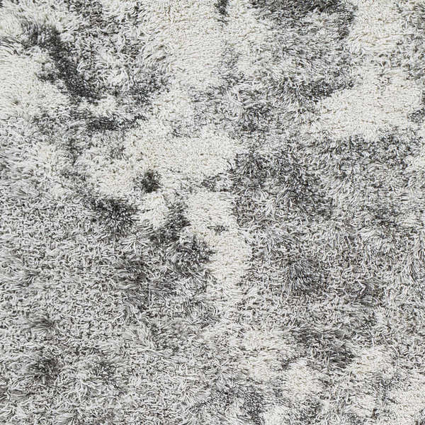 Sample Dawesville Gray White Shag Area Rug