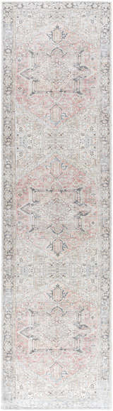 Close-up of the Aethwy Washable Area Rug. Traditional design in light silver, prairie dust, gray and slate blue tones. Design-Runner-2710
