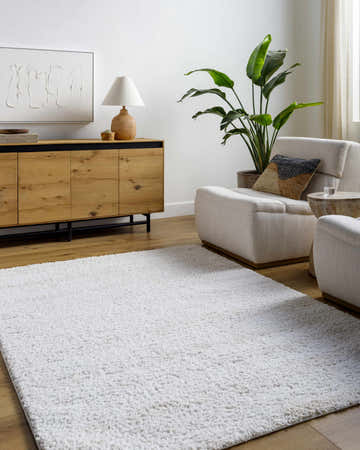 Living room scene with a white Arlind Area Rug, light wood floors, and modern furniture. Roomscene-Rectangle