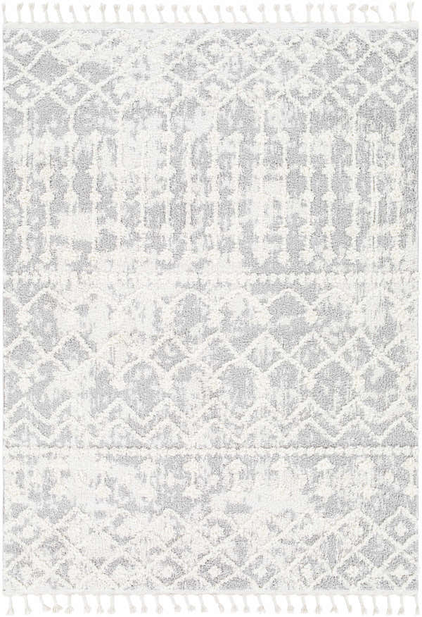 Close-up of the Dolo Area Rug. Cream and gray rug with a geometric pattern and tasseled edges. Bohemian style. Design-Rectangle-537