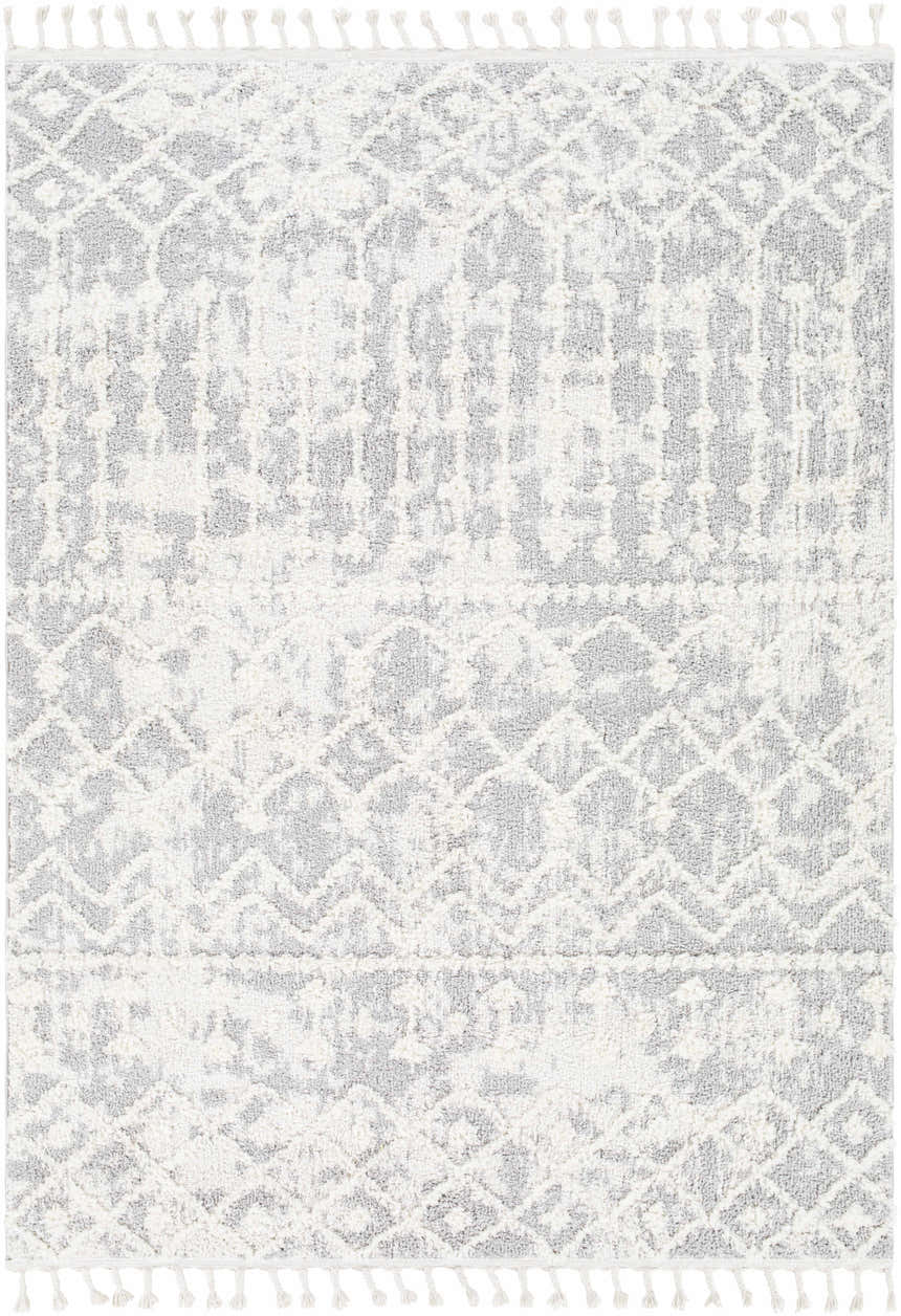 Close-up of the Dolo Area Rug. Cream and gray rug with a geometric pattern and tasseled edges. Bohemian style. Design-Rectangle-537