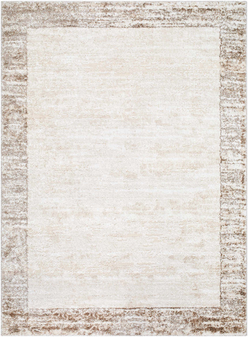 Close-up of the Dhaval Ivory Area Rug. Cream rug with a light brown border. Machine woven texture. Design-Rectangle-5373