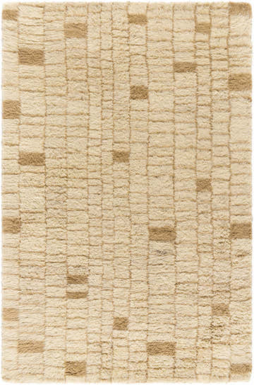 Close-up of the Anusha Area Rug. Hand-tufted wool rug in beige and tan with a subtle geometric pattern. Soft, textured surface. Design-Rectangle-576