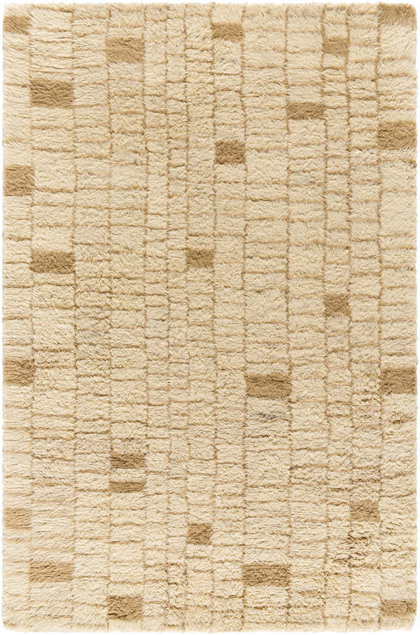 Close-up of the Anusha Area Rug. Hand-tufted wool rug in beige and tan with a subtle geometric pattern. Soft, textured surface. Design-Rectangle-576