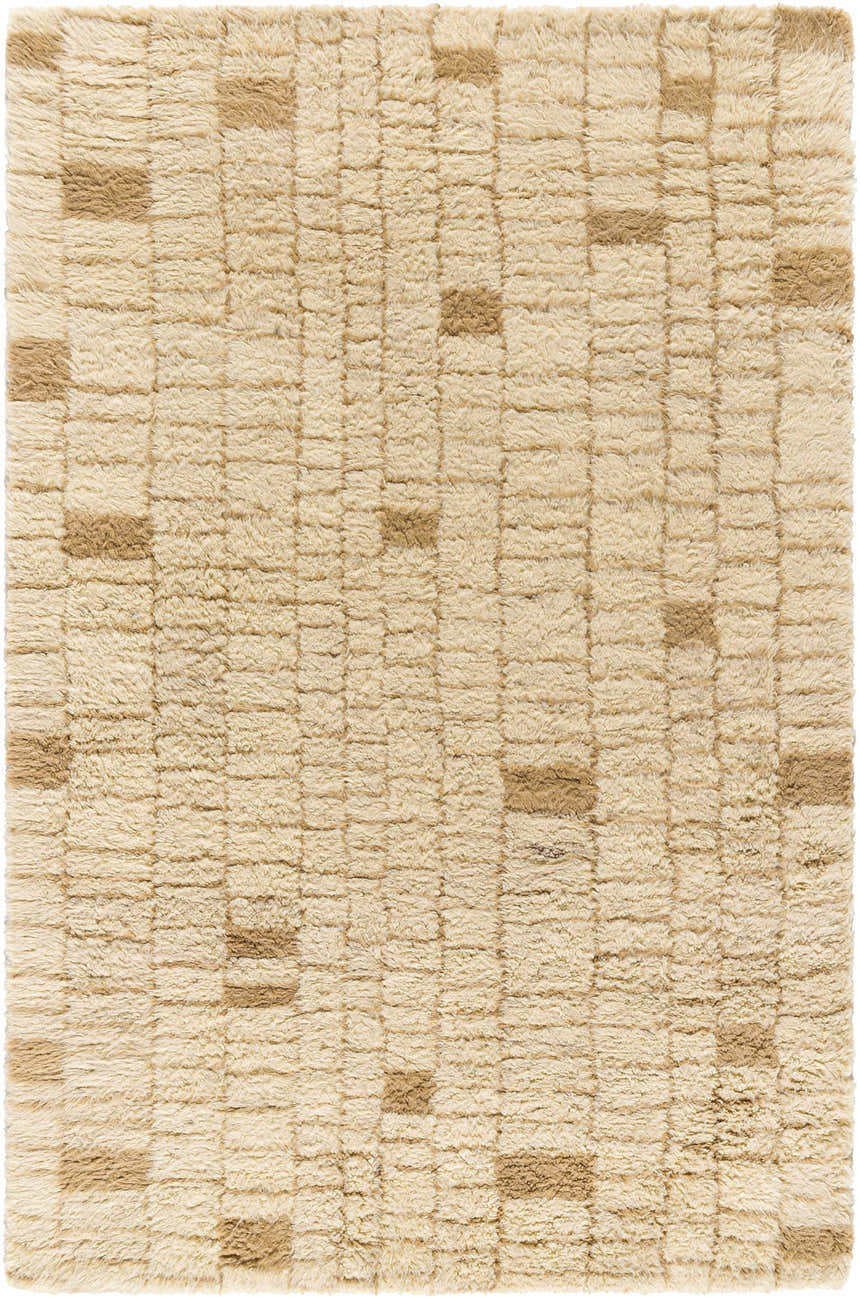 Close-up of the Anusha Area Rug. Hand-tufted wool rug in beige and tan with a subtle geometric pattern. Soft, textured surface. Design-Rectangle-576