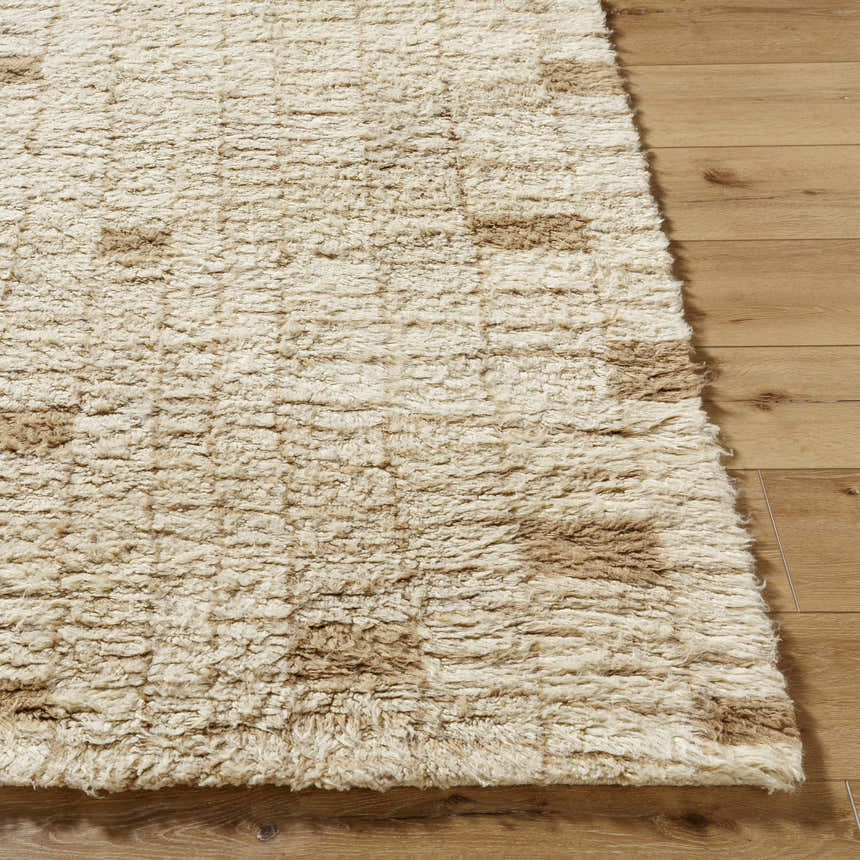 Close-up of the hand-tufted Anusha Area Rug. Beige and tan wool rug with a subtle contemporary pattern and soft, textured pile. Front