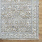 Close-up of the Alexia Light Gray Area Rug, showing traditional patterns in charcoal, light gray, and medium gray. Corner