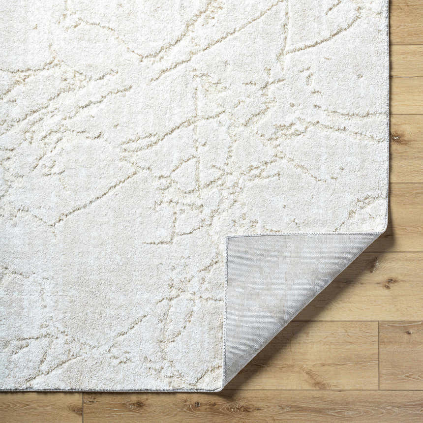 Close-up of the Genkei Light Gray Area Rug showing its texture, colors, backing, and machine-woven construction. Fold
