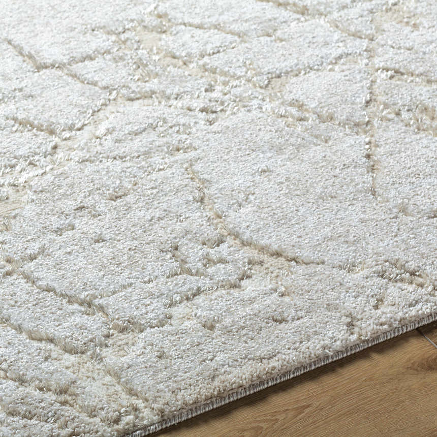 Close-up of the textured Genkei Light Gray Area Rug showing beige and ivory geometric pattern. Texture