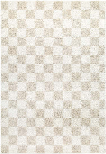 Close-up of the Gallicchio Area Rug. Features a textured checkerboard pattern in cream and beige. Contemporary style. Design-Rectangle-537