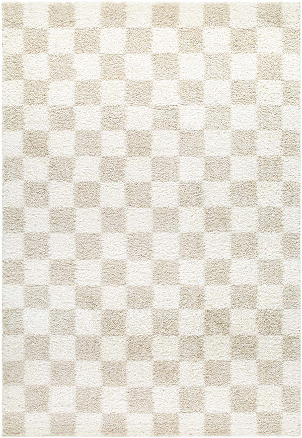 Close-up of the Gallicchio Area Rug. Features a textured checkerboard pattern in cream and beige. Contemporary style. Design-Rectangle-537
