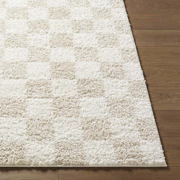 Close-up of the Gallicchio Area Rug showing a soft, textured, cream and beige checkerboard pattern on wood floors. Front