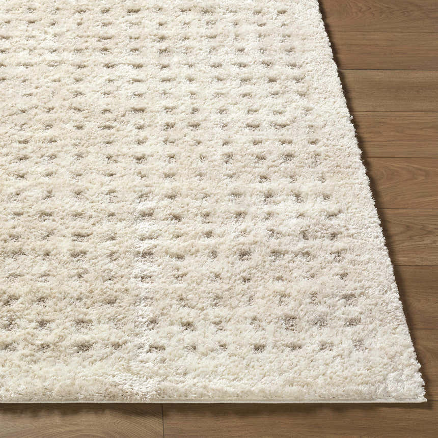 Close-up of the cream Armand Luxe Shag Rug showing its plush texture and subtle geometric pattern on a wood floor. Front