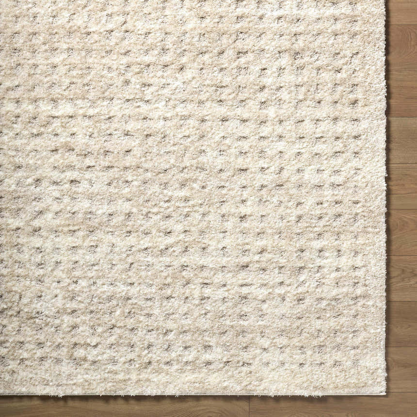 Close-up of the cream Armand Luxe Shag Rug showing its plush texture and subtle geometric pattern. Corner
