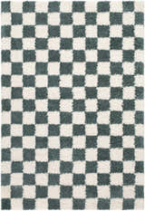 Close-up of the Goianinha Area Rug featuring a green and white checkerboard pattern with a soft, textured pile. Design-Rectangle-537