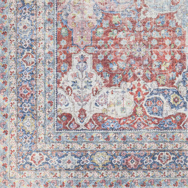 Sample Rust Goma Vintage Area Rug - Clearance