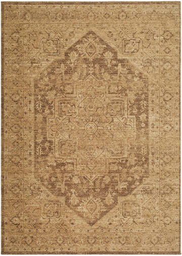 Close-up of the Garima Area Rug. Beige, chestnut, and sandstone tones create a traditional, farmhouse-style pattern. Design-Rectangle-679