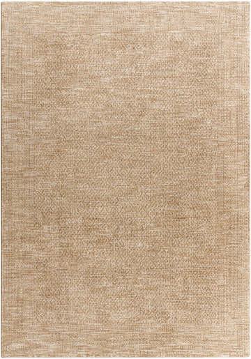 Close-up of the beige and tan Atreus Area Rug, featuring a traditional, subtle geometric pattern and soft texture. Design-Rectangle-6796