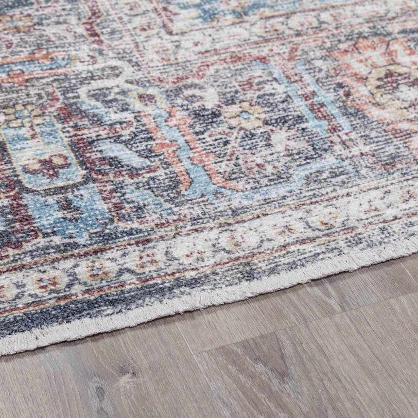 Close-up of the Blue Burgundy Holi-2302 Washable Area Rug, showcasing its traditional Persian-style design and soft, neutral colors. Pile