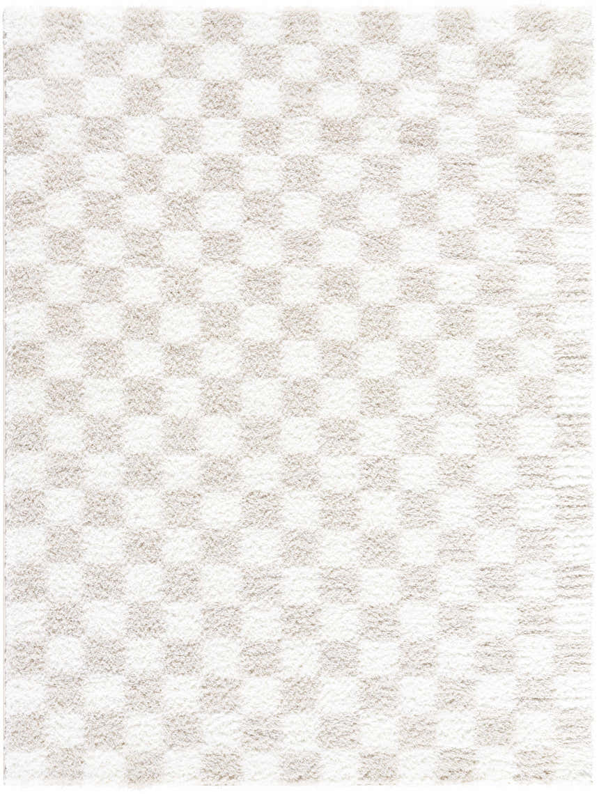 Close-up of the Ardice Area Rug, a shag rug with a checkered pattern in ivory and peach polyester. Design-Rectangle-537