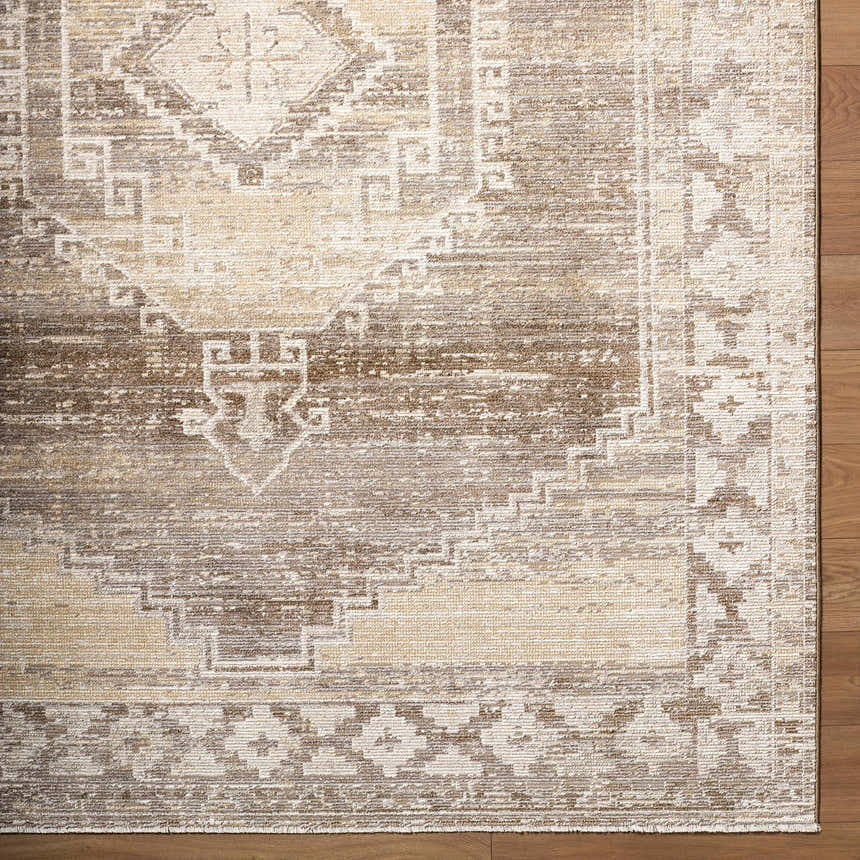 Close-up of the Kailey Light Gray Area Rug showing a traditional pattern and neutral beige and brown tones. Swatch