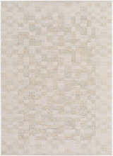 Close-up of the Arshad Ivory Area Rug. Beige, tan, and light gray woven in a geometric, checkered pattern. Design-Rectangle-537