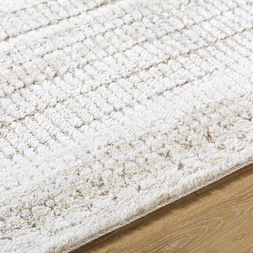 Close up of the Akande Shag Area Rug, ash, light silver, and silver gray textured shag rug. Texture
