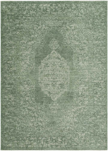 Close-up of the Lilach Area Rug, a machine-woven rectangle in green and sage with a traditional, faded design. Design-Rectangle-679
