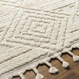 Close-up of the Manyas 3D Bone Area Rug with Tassels, showcasing its geometric pattern, plush texture, and tassel details. Texture