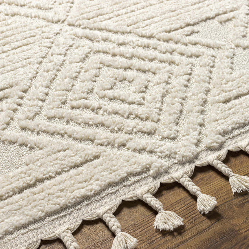Close-up of the Manyas 3D Bone Area Rug with Tassels, showcasing its geometric pattern, plush texture, and tassel details. Texture