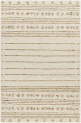 Close-up of the hand woven Matawan Premium Wool Rug. Features a cream base with brown stripes and floral accents. Design-Rectangle-576