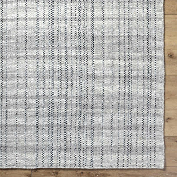 Sample Nissa Blue Gray Checkered Area Rug - Clearance