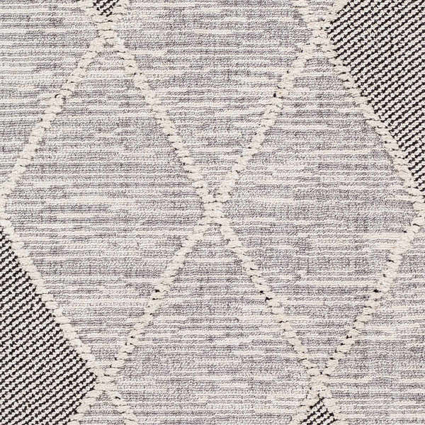 Sample Norvelt High/Low Pile Rug with Tassels