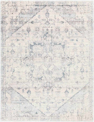 Close-up of the Orrick Area Rug, a machine-woven rug in cream, blue, and brown with a traditional, distressed oriental pattern. Design-Rectangle