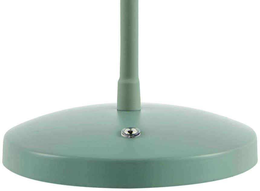 Pachiquita Sage Table Lamp