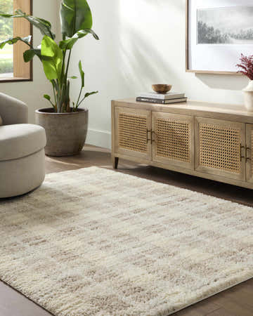 Living room scene with a cream Anfisa Luxe Shag Area Rug, beige chair, wood cabinet, and potted plant. Roomscene-Rectangle