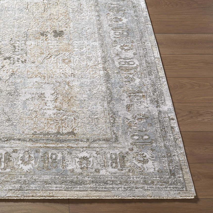 Close-up of the Pryce Sage rug showing its traditional pattern, texture, and colors: cream, light brown, and light gray. Front