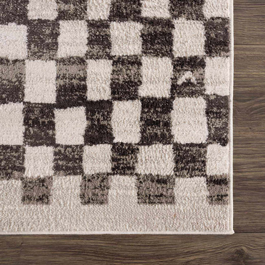 Close-up of the Benjy Cream & Charcoal Checkered Area Rug showing the texture and pattern. Swatch